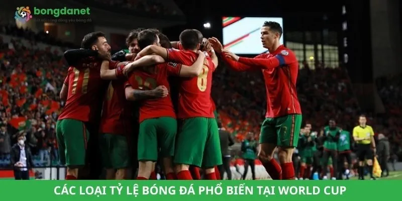 Các loại tỷ lệ bóng đá phổ biến tại World Cup