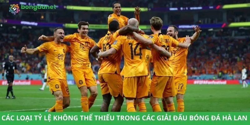 Các loại tỷ lệ không thể thiếu trong các giải đấu bóng đá Hà Lan