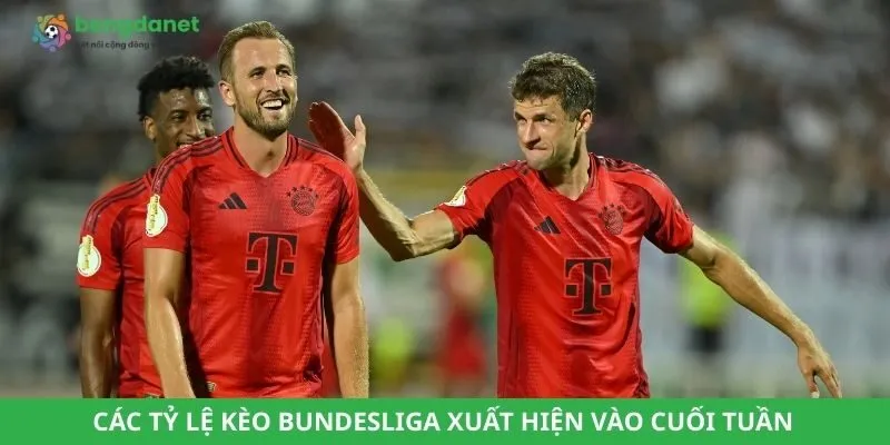 Các tỷ lệ kèo Bundesliga xuất hiện vào cuối tuần