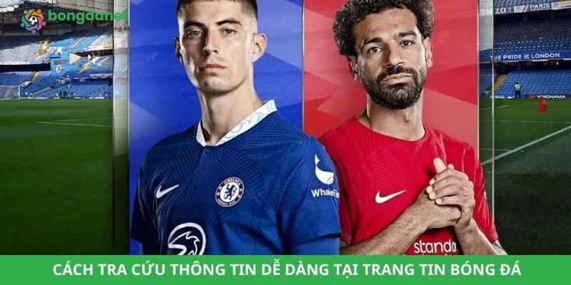 Cách tra cứu thông tin dễ dàng tại trang tin bóng đá