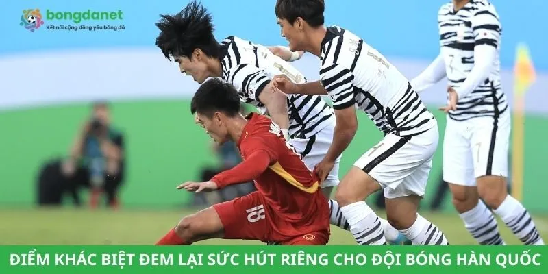 Điểm khác biệt đem lại sức hút riêng cho đội bóng Hàn Quốc