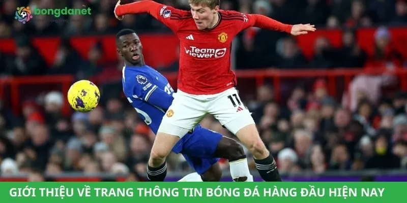 Giới thiệu về trang thông tin bóng đá hàng đầu hiện nay