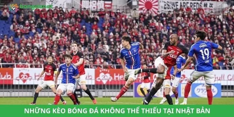 Những kèo bóng đá không thể thiếu tại Nhật Bản