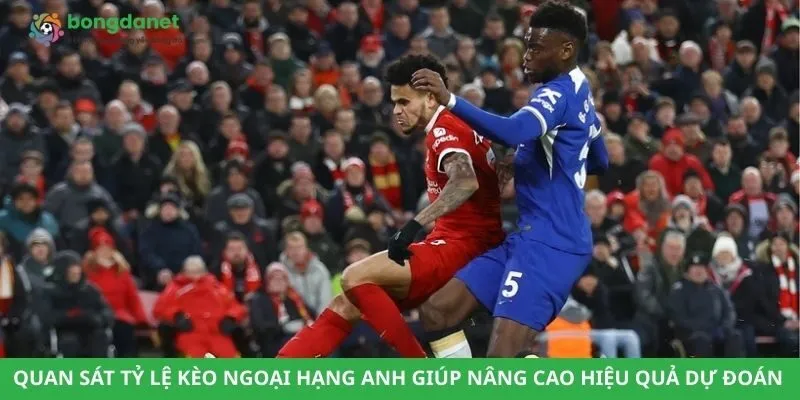 Quan sát tỷ lệ kèo Ngoại Hạng Anh giúp nâng cao hiệu quả dự đoán