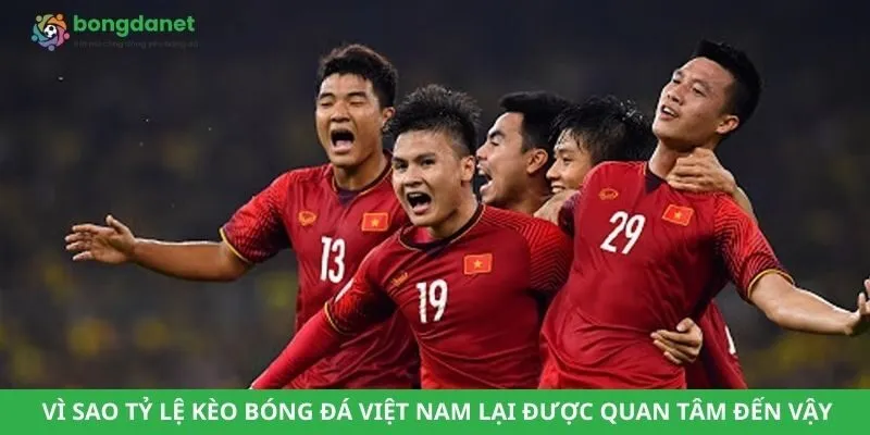 Vì sao tỷ lệ kèo bóng đá Việt Nam lại được quan tâm đến vậy